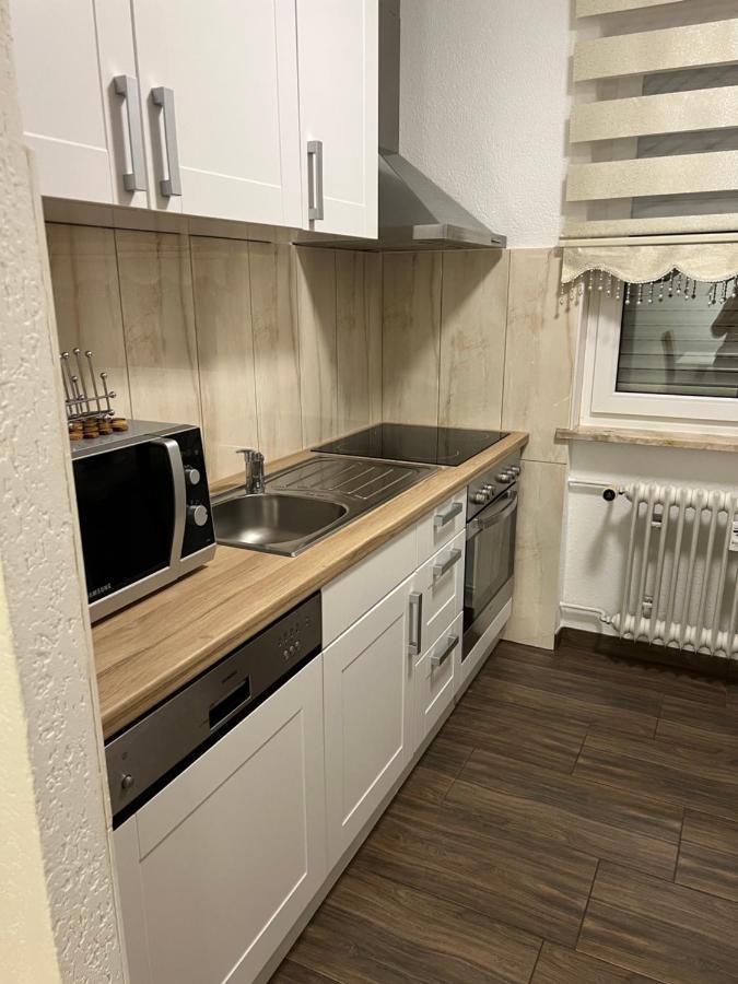 O&V Apartment Waldshut-Tiengen Eksteriør bilde