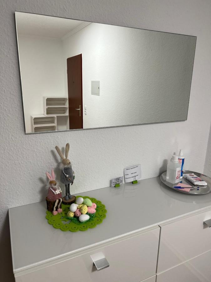 O&V Apartment Waldshut-Tiengen Eksteriør bilde